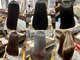 ノンヘアー(non hair)の写真