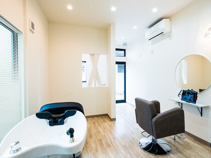 オアシス(oasis)の写真