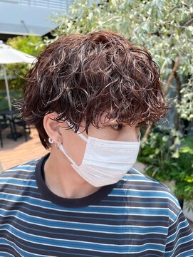 ハバナ 天神(HAVANA) メンズカット/波巻きパーマ