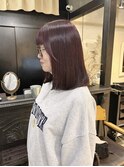 【noel】mayu×カシスカラー