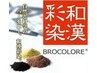 【ふわっとハリコシ出す漢方カラーで白髪染め白髪ぼかし】漢方ハーブカラー
