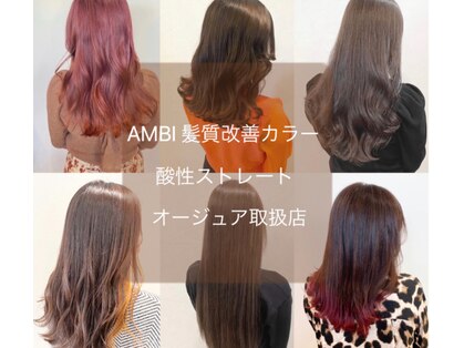 アンビ(ambi)の写真