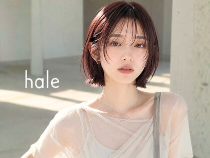 ハレ(hale)の写真