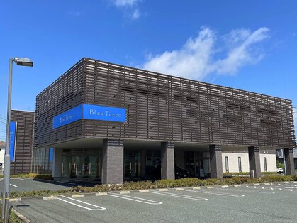 ブルーテーフ(Bleu Terre)の写真