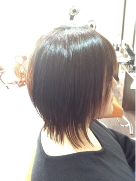 ドルセット ウルフ