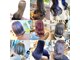 ヘアー ルーム シェリー(hair room She'rie)の写真