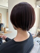 本と南風 guest design