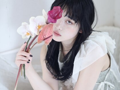シーナ(sina)の写真