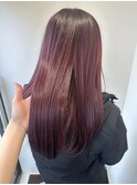 レッドカラー カシスレッド ワインレッド レッドブラウン 赤色