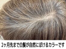一人一人に最適な白髪ぼかしを提案。高明度リタッチやハイライト