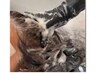 【５月限定◆】　クレンジングシャンプ＆ーブロー＆頭皮マッサージ ￥4400