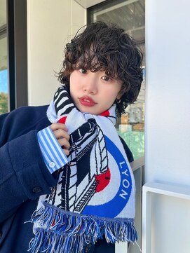 ホロ(hollo) プードルパーマショートウルフパーママッシュパーマ