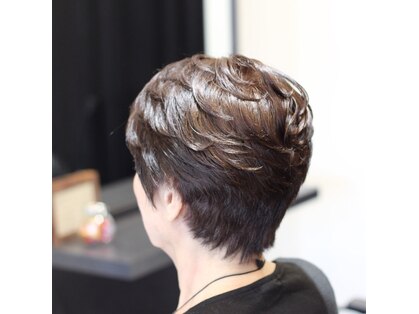 ヘアーズミンク ハグラザキ(Hairs mink Hagurazaki)の写真