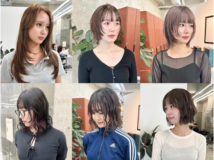 ノエ(noe)の写真