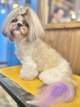 ガーフィー(garfy) カラーリング