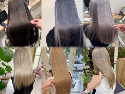 モナルダ(Monarda)の写真