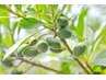 ☆髪と頭皮に優しい【オーガニックカラー】＋カット10％off→￥８４１５～