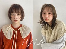 ハロ 蕨(HALO)
