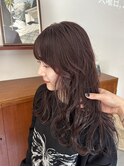 ピンクラベンダー
