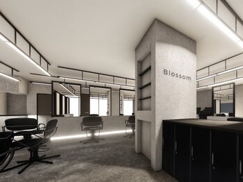 ブロッサム 成増店(Blossom)の写真/トレンドデザインであなたの理想を叶えるサロン!【成増駅/似合わせカット/デザインカラー】