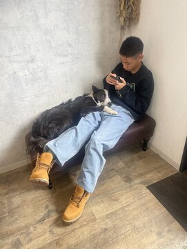 街の小さな美容室ビー(街の小さな美容室be.) ちょっと膝ば貸してんの