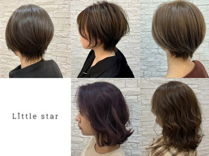 リトルスター(Little star)の写真
