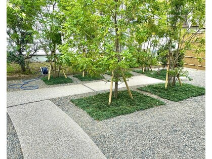 アシタカ(ashitaka)の写真