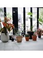 リッジ(ridge) 観葉植物が好きで、店内にもたくさん並べてます!