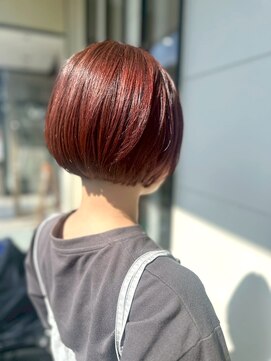 ホワイトストーン WHITE STONE デザインカラー艶レッドブラウンショート