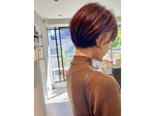 アフロディーテギンザ 神保町(APHRODITE GINZA)