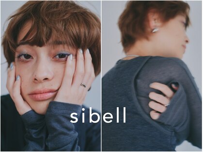 シベル(sibell)の写真