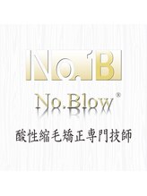 No.Blow 酸性縮毛矯正専門技師【ノーブロー】
