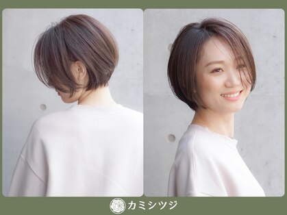 カミシツジの写真