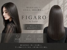 フィガロ バイ テイラー(FIGARO by Taylor)
