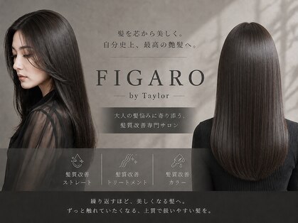 フィガロ バイ テイラー(FIGARO by Taylor)の写真