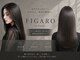 フィガロ バイ テイラー(FIGARO by Taylor)の写真