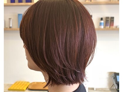 スカイ(sky)の写真