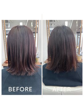 大人カラーカシスブラウン