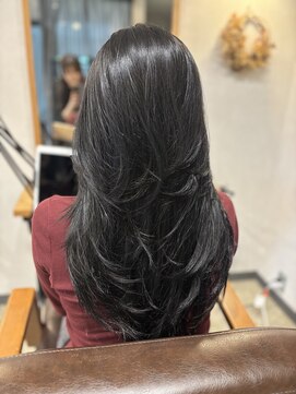 ルナバイルヴェール(LUNA by LeVert) 今話題のハイレイヤーカット