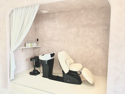 コロン(coron)の写真