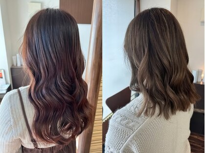 ゼフィール (zefeel)の写真