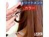 【12月の予約はこちら】【ベーシックメンテナンス】カラーカット