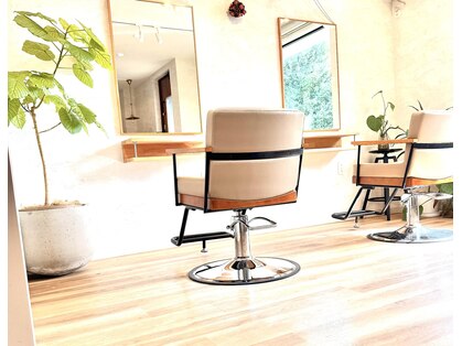 リンネ(rinne)の写真