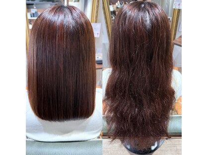 スリールクロレ(Sourirecolore)の写真