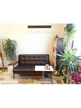 女性スタイリストのみの3席小規模サロン☆植物が多く緑あふれる癒しの空間でゆったりとしたひと時を♪