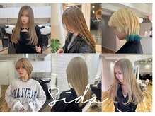 シダ(sida)