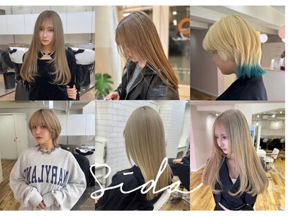 シダ(sida)の写真