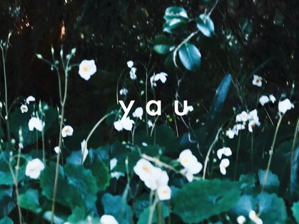 ヤウ(YAU)の写真