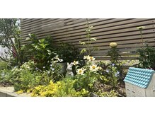 アトリエレア(atelierLea)の雰囲気（ヘッドスパ「季節香」で使用する香りはサロン脇の庭で栽培）