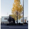 サロンド香月のお店ロゴ